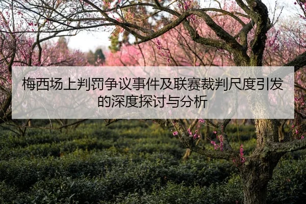 梅西场上判罚争议事件及联赛裁判尺度引发的深度探讨与分析（WANBO SPORTS）