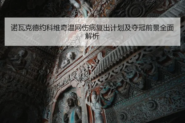 诺瓦克德约科维奇温网伤病复出计划及夺冠前景全面解析